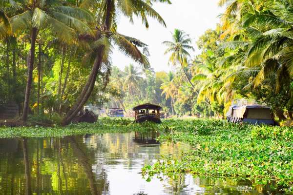 Alappuzha