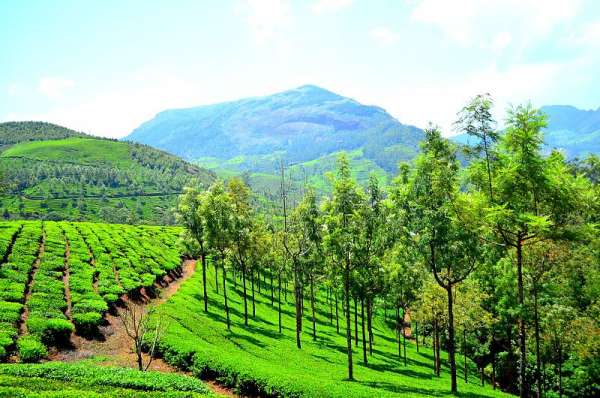 Munnar