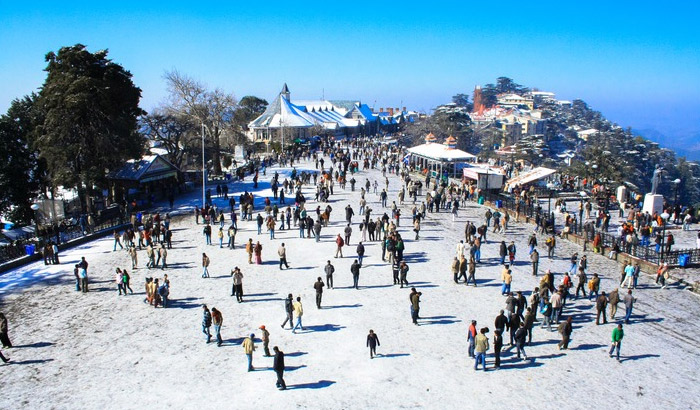 2 Nights 3 Days Shimla Tour Package Gallery